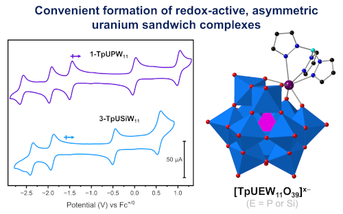 Tuning Uranium Redox chemistry in Asymmetric Polyoxometalate Complexes: Access to U(IV), U(V) and Transient U(VI)