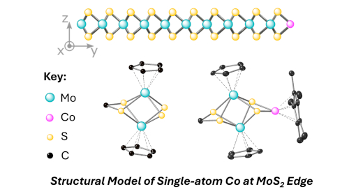 A molecular model of single-atom Co-adsorption to MoS2 edge sites