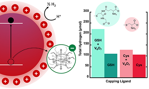 Enhancing the Activity of Photocatalytic Hydrogen Production from CdSe Quantum Dots with Polyoxovanadate Clusters