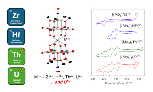 Leveraging a reduced polyoxomolybdate-alkoxide cluster for the formation of a stable U(V) sandwich complex