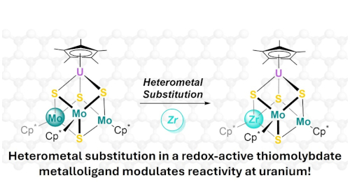Tuning Reactivity at uranium through heterometal substitution in a redox-active thiomolybdate metalloligand