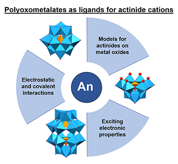 Polyoxometalate-based complexes as platforms for the study of actinide chemistry