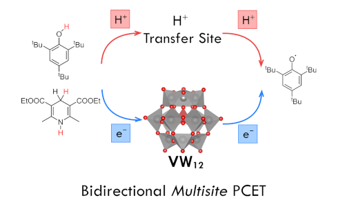 Multisite proton-coupled electron transfer at a Keggin-type polyoxotungstate